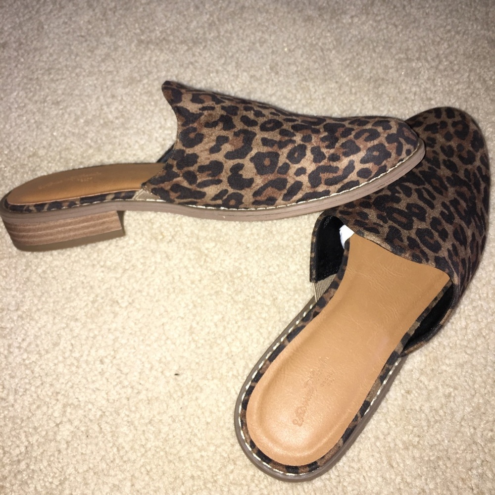 Leopard slip-ons